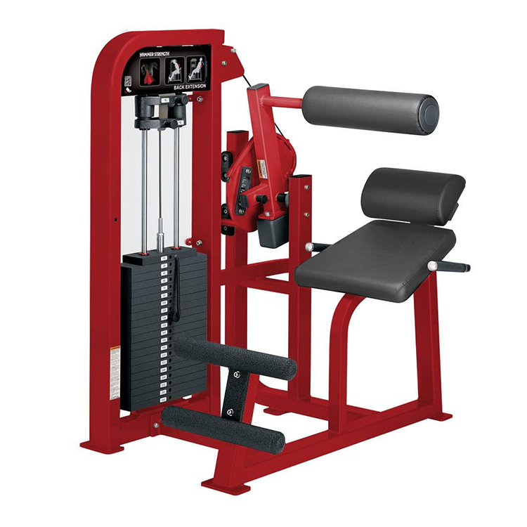 Мышцы спины