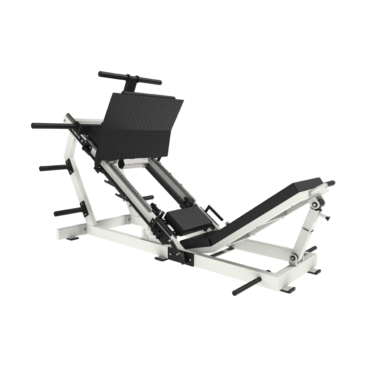 Integrated Leg Press<br />ASN508-B