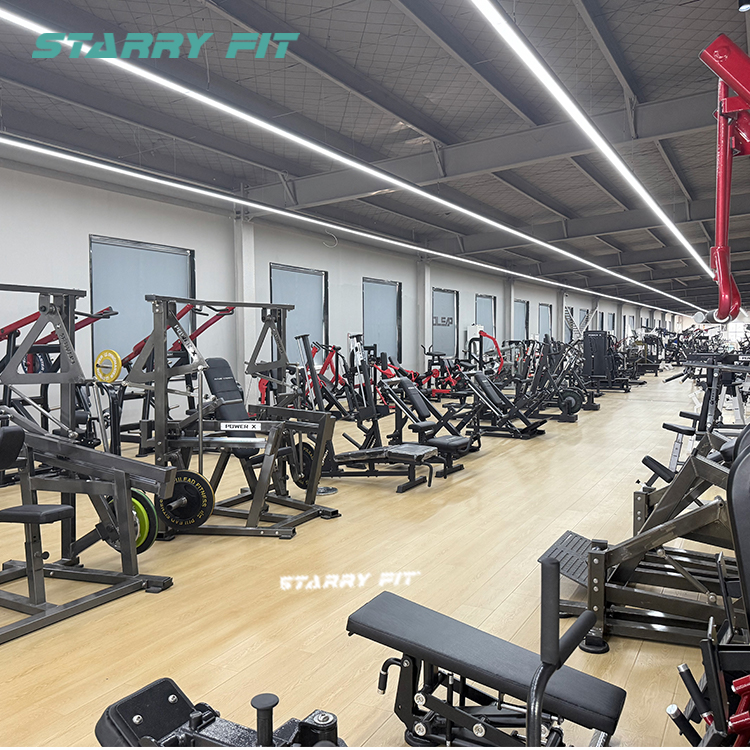 Belt Squat<br />ASN519 Belt Squat<br />ASN519