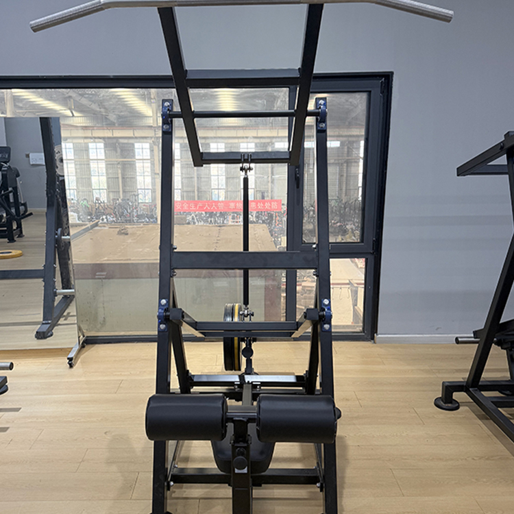 Leverage Pull-down<br />FL301 Leverage Pull-down<br />FL301