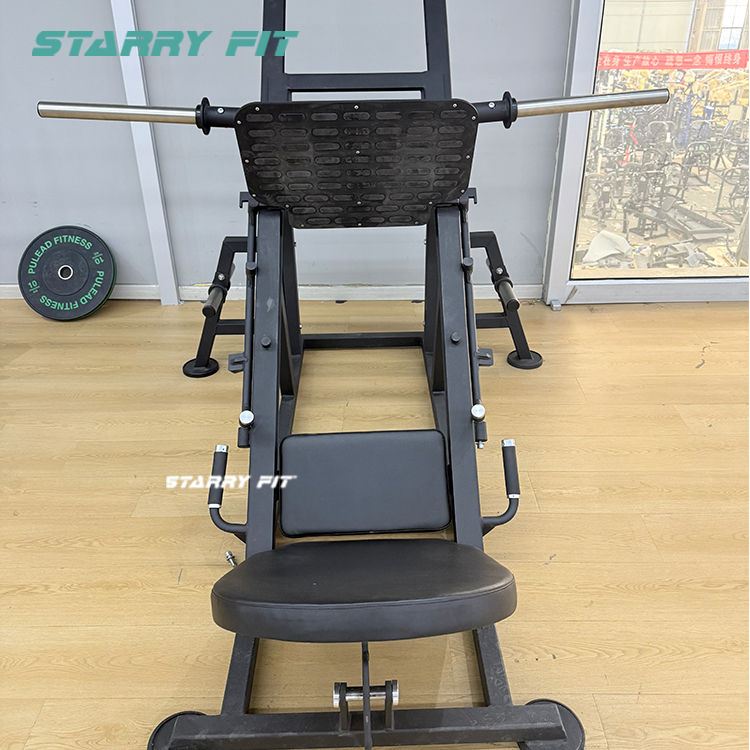 Leg Press<br />FL310 Leg Press<br />FL310