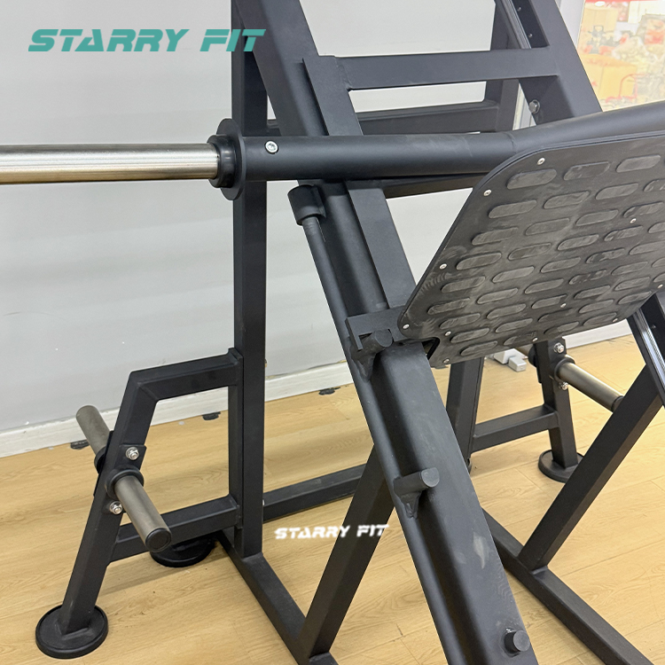 Leg Press<br />FL310 Leg Press<br />FL310