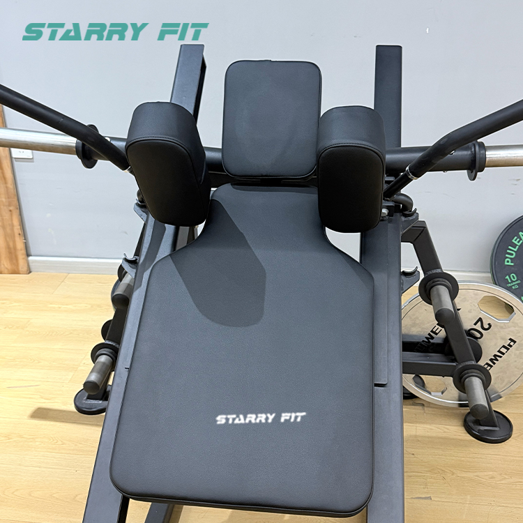 Hack Squat<br />FL311 Hack Squat<br />FL311