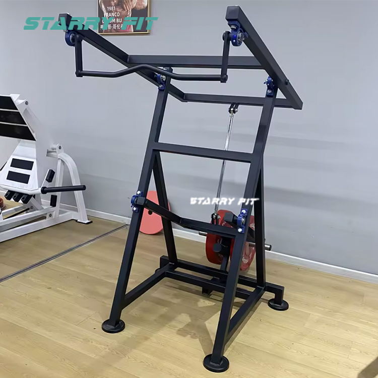 Triceps<br />FL317 Triceps<br />FL317