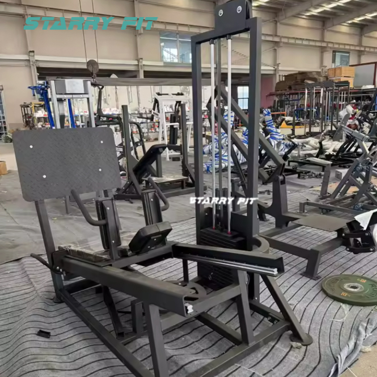 Leg Press<br />FL369 Leg Press<br />FL369