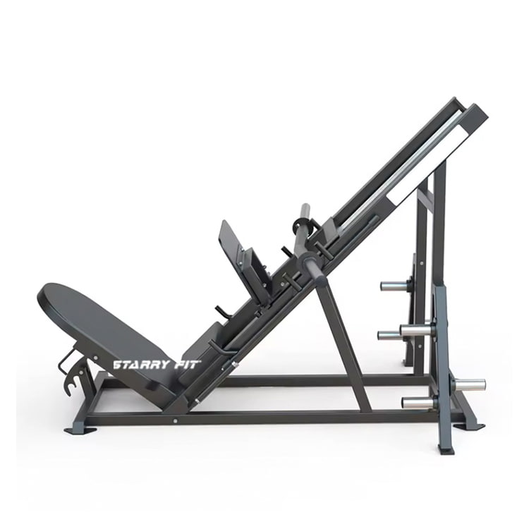 Leg Press<br />FL310 Leg Press<br />FL310