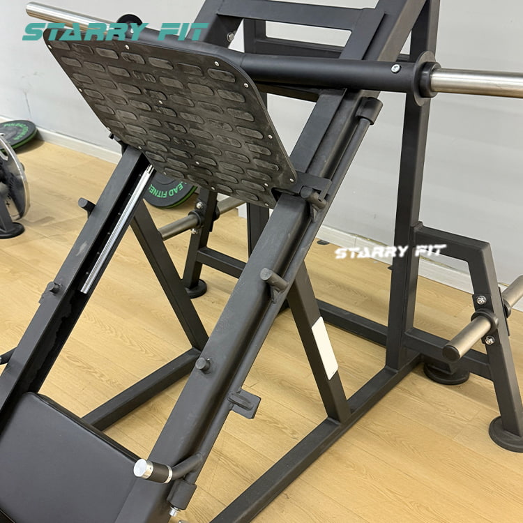 Leg Press<br />FL310 Leg Press<br />FL310